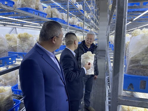 趙衛(wèi)深入商洛開展企業(yè)管理咨詢調(diào)研，助力區(qū)域經(jīng)濟(jì)發(fā)展