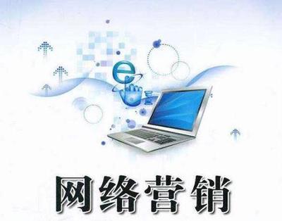 網(wǎng)絡(luò)營銷與互聯(lián)網(wǎng)銷售 數(shù)字時代的商業(yè)雙引擎